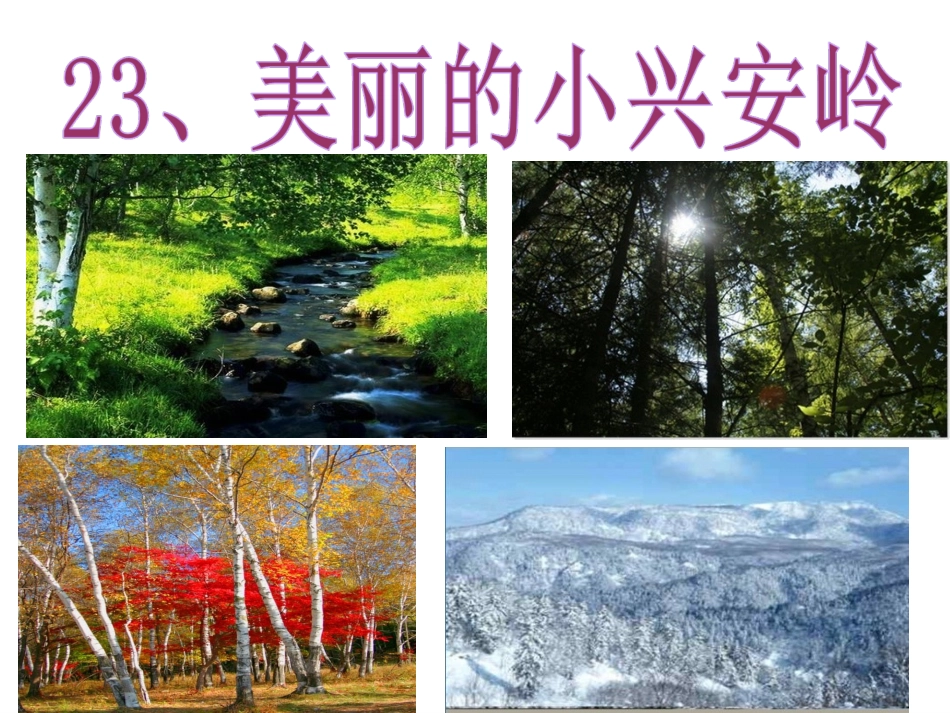 ①美丽的小兴安岭_第2页