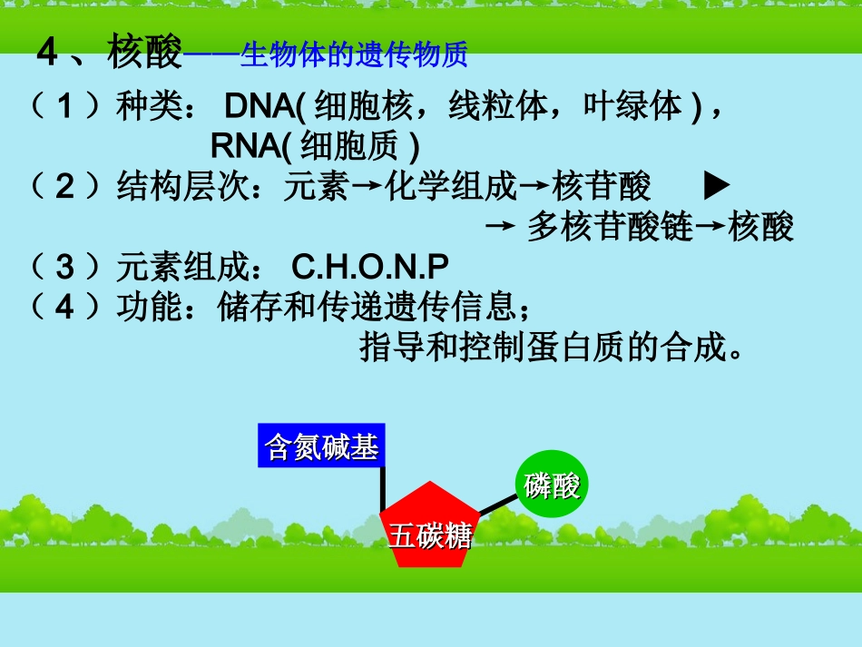高中生物《有机化合物与生物大分子》课件13-浙科版必修1_第3页