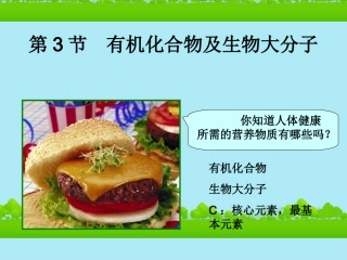 高中生物《有机化合物与生物大分子》课件13-浙科版必修1