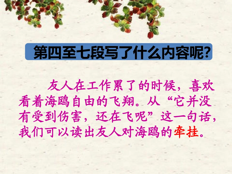 《飞吧-海鸥》第4-13段理解_第1页