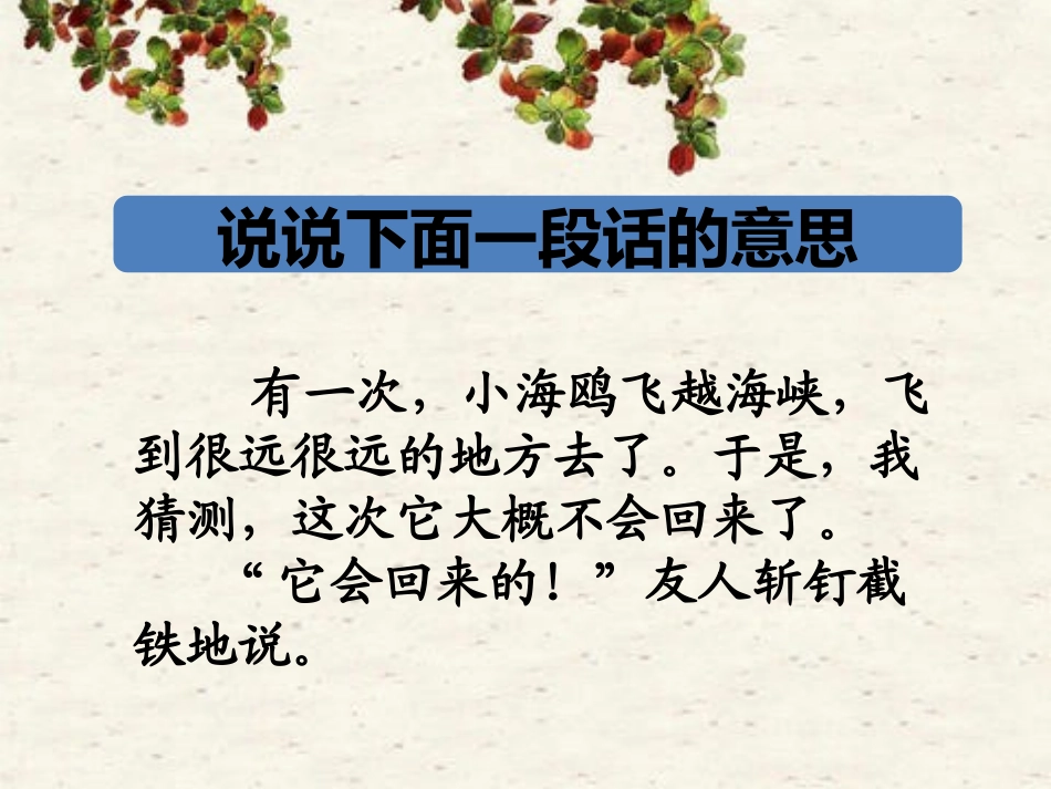 《飞吧-海鸥》第4-13段理解_第2页