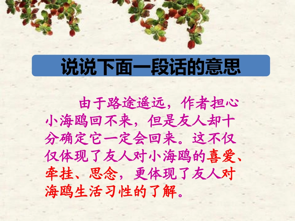 《飞吧-海鸥》第4-13段理解_第3页