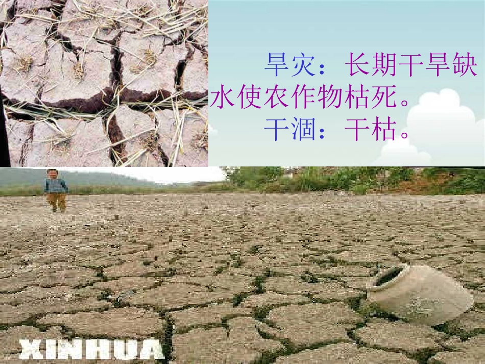 19-七颗钻石_第3页