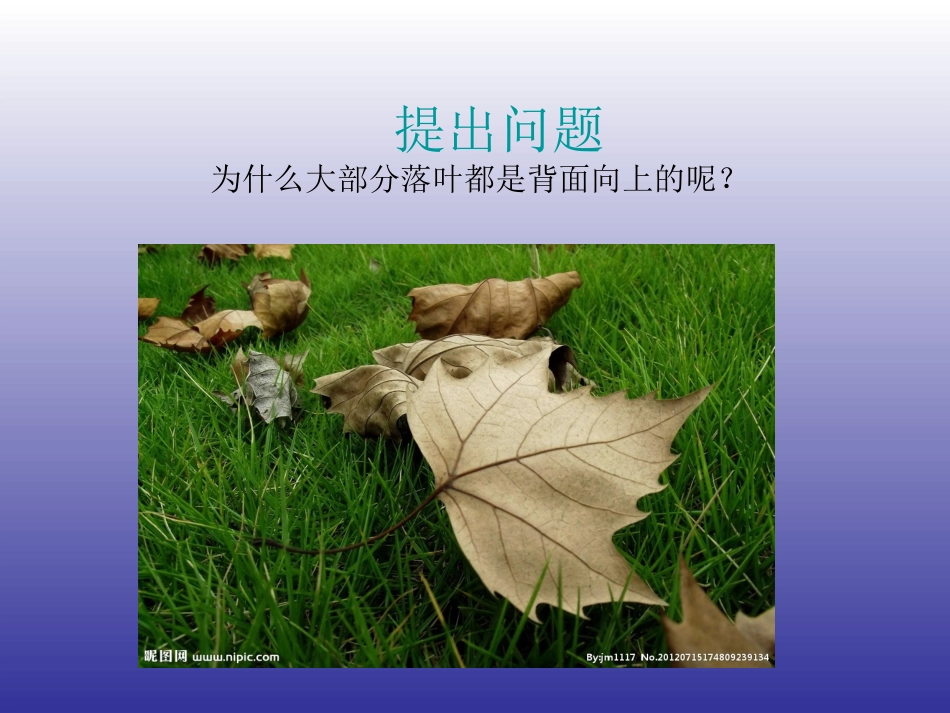 3、学物理——探究求真_第3页