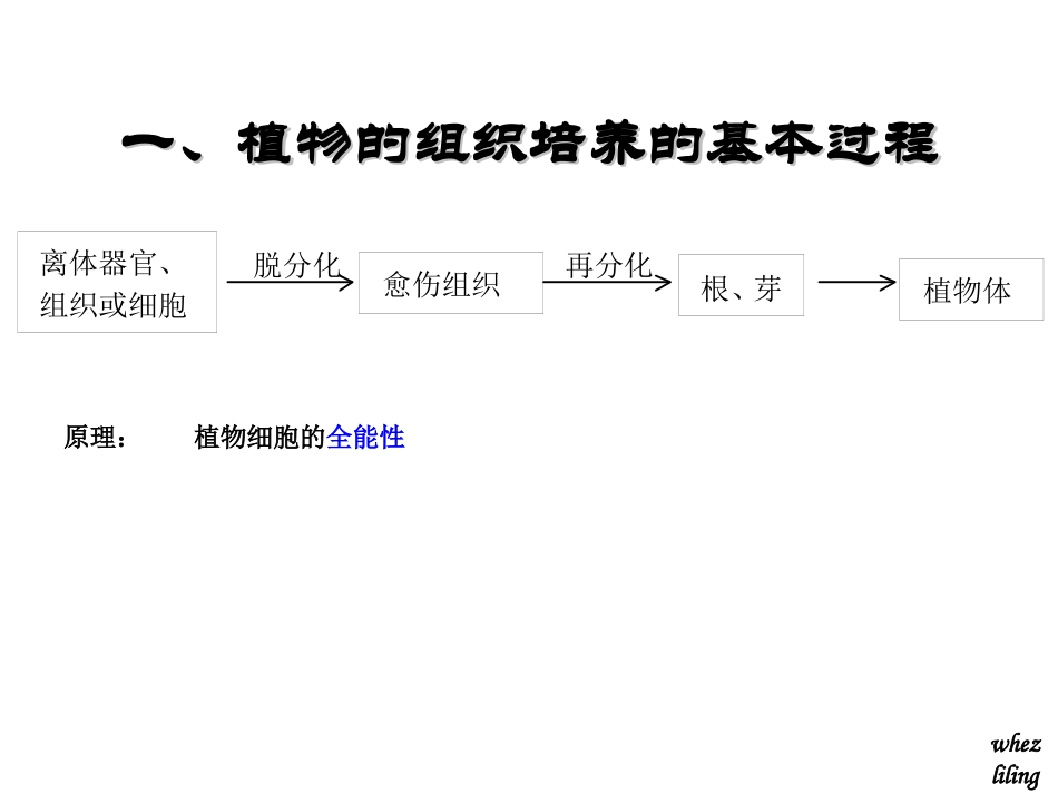 科学·技术·社会植物的组织培养-(2)_第3页