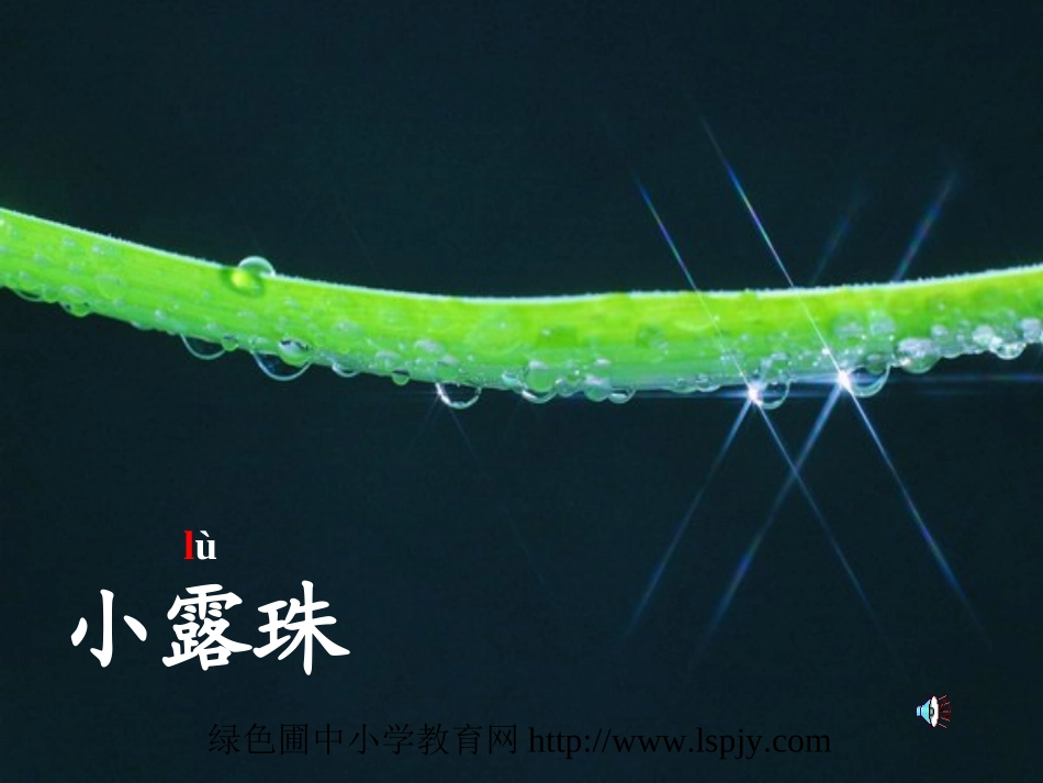 苏教版三年级上册语文《小露珠》公开课课件PPT_第1页