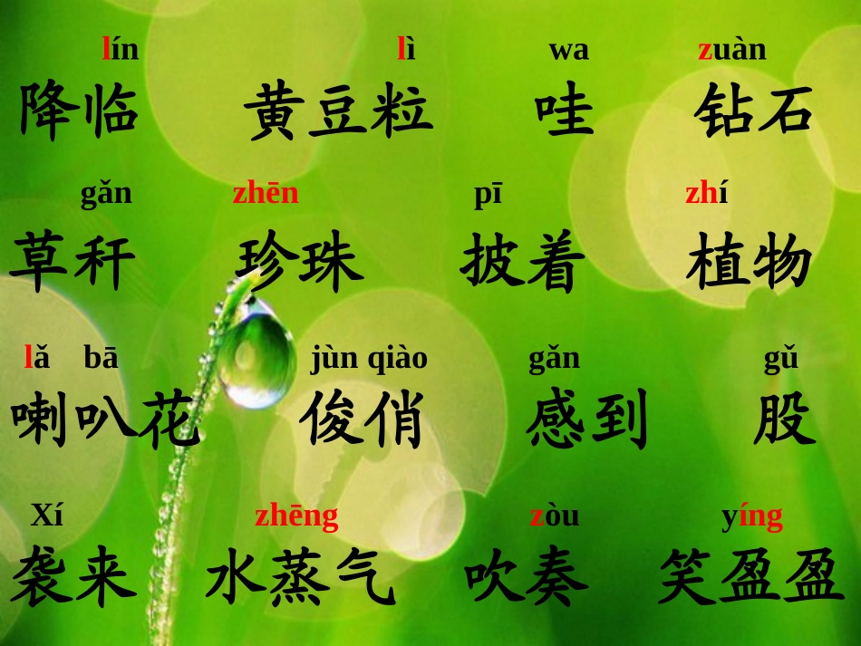 苏教版三年级上册语文《小露珠》公开课课件PPT_第2页