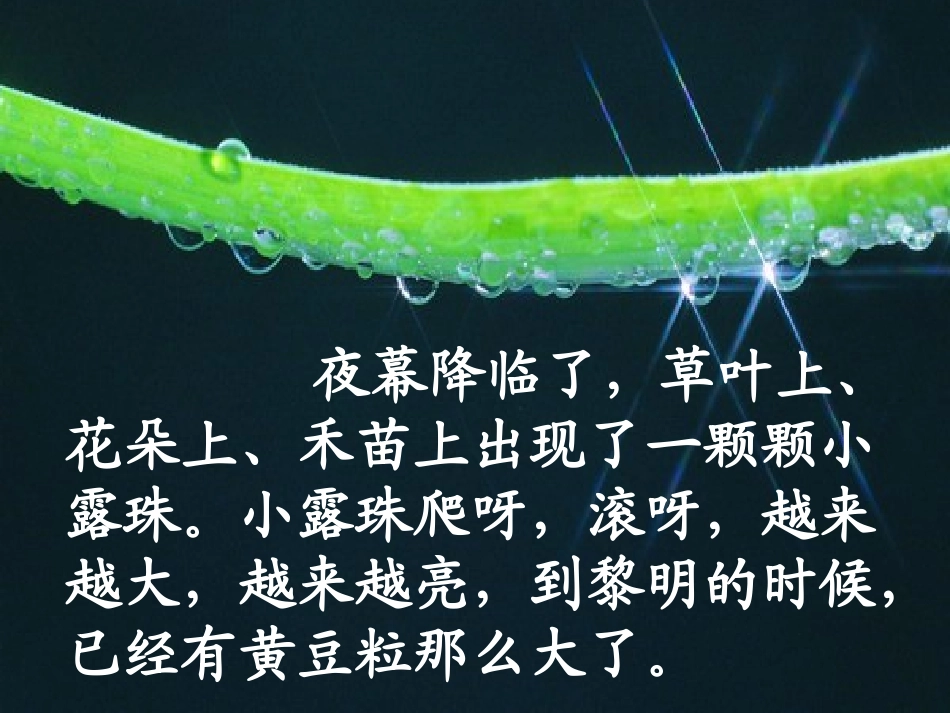 苏教版三年级上册语文《小露珠》公开课课件PPT_第3页