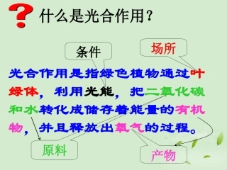 天津2012高中生物复习-5.4.1能量之源—光与光合作用课件-新人教版必修1
