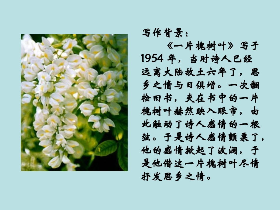 1.我爱这土地_第2页