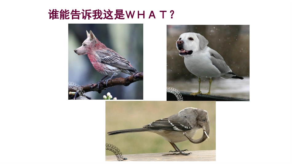 科技探索之路-生物技术引发的社会争论_第2页