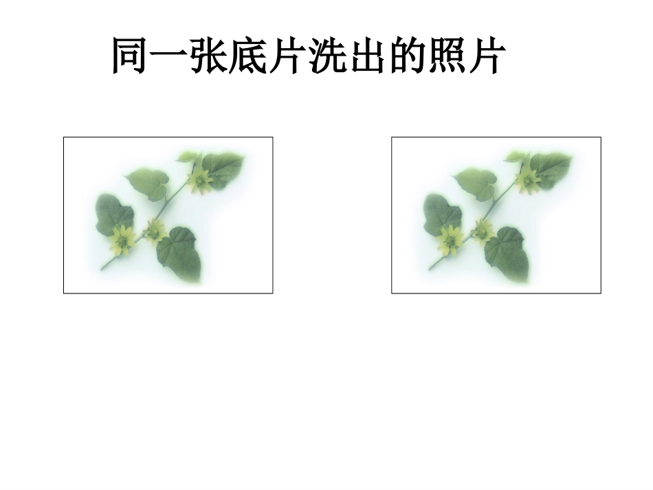 12.1全等三角形.1_第3页