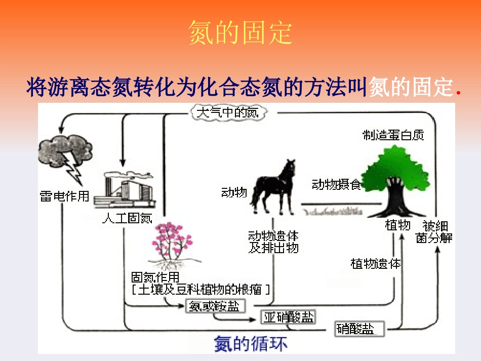 课题2-人工固氮技术──合成氨_第3页