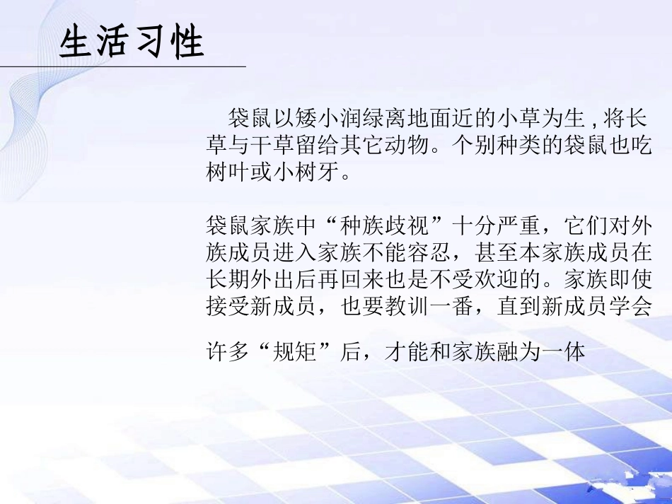 《袋鼠妈妈的口袋》课件3_第3页