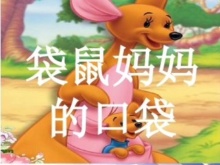 《袋鼠妈妈的口袋》课件3