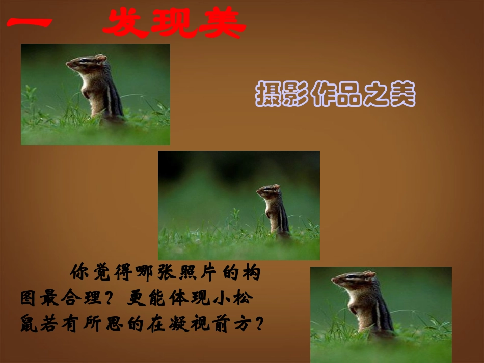 安徽省宿州市萧县刘套中学八年级数学下册《黄金分割》课件-北师大版_第3页
