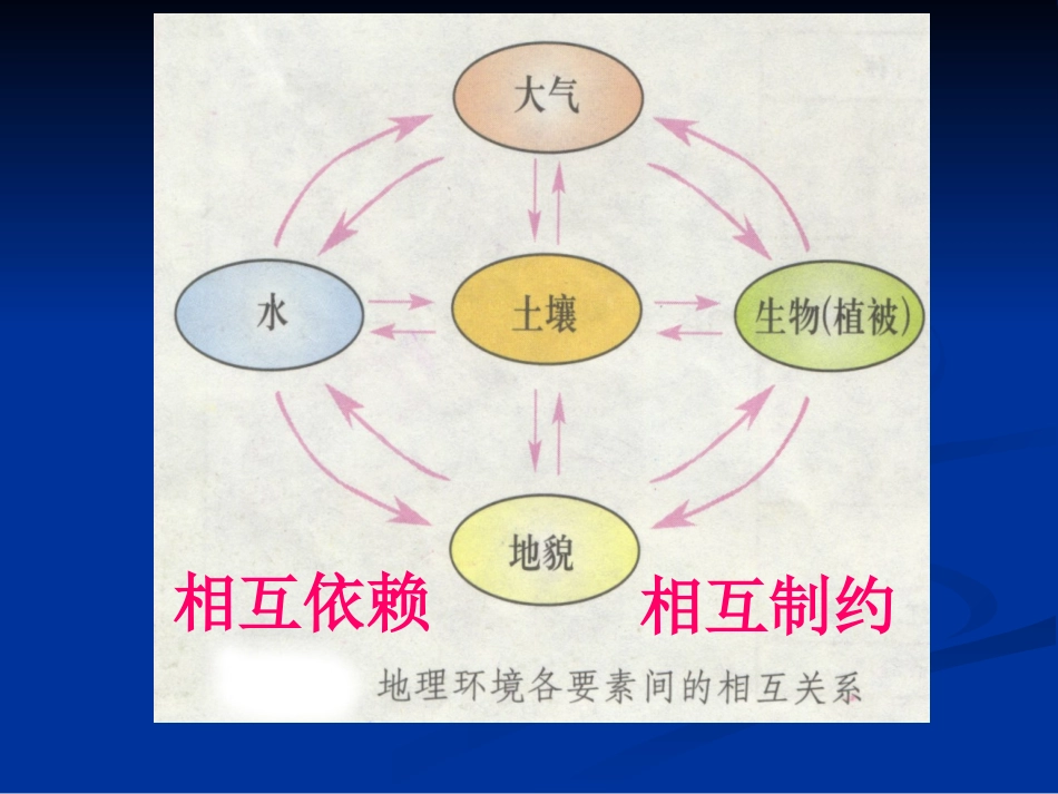 第一节自然地理要素变化与环境变迁-(5)_第3页