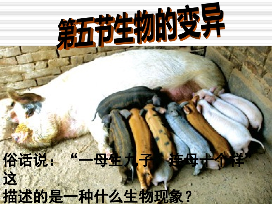 2生物的变异现象_第1页