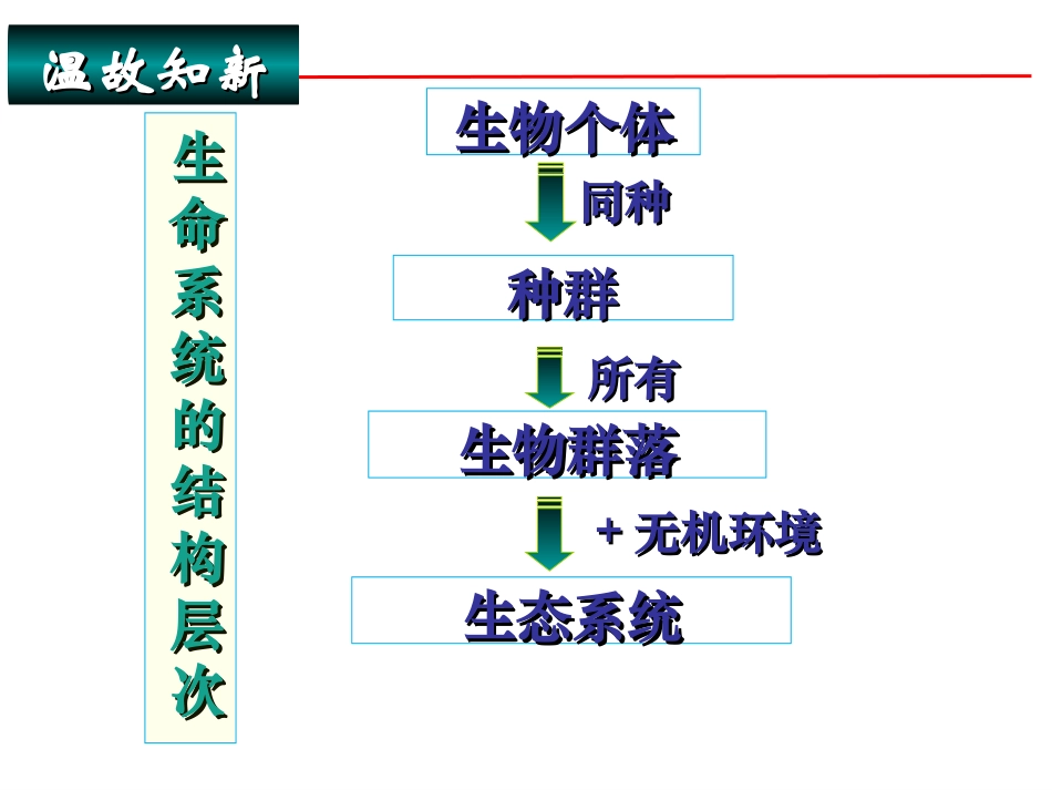 一生态系统的结构_第2页