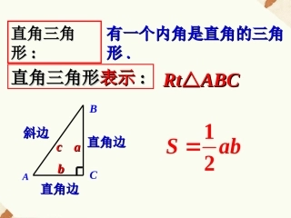 直角三角形的概念-直角三角形的性质和判定(Ⅰ)