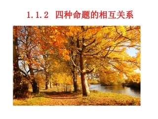 1.1.3四种命题间的相互关系-(2)