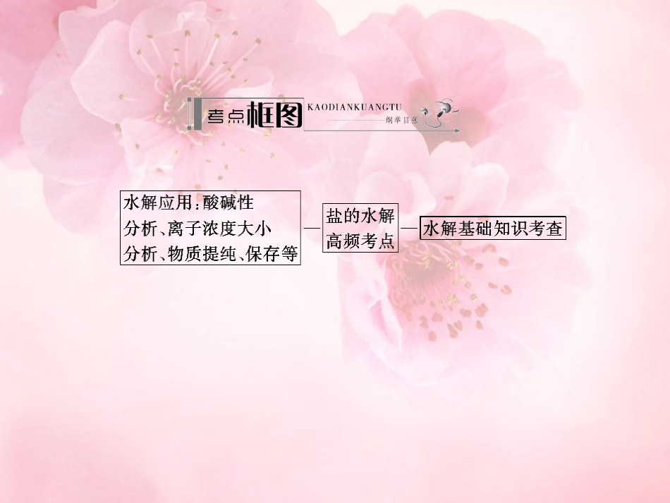 【名师伴你行】2014高考化学一轮复习-盐的水解学案课件-新人教版_第3页