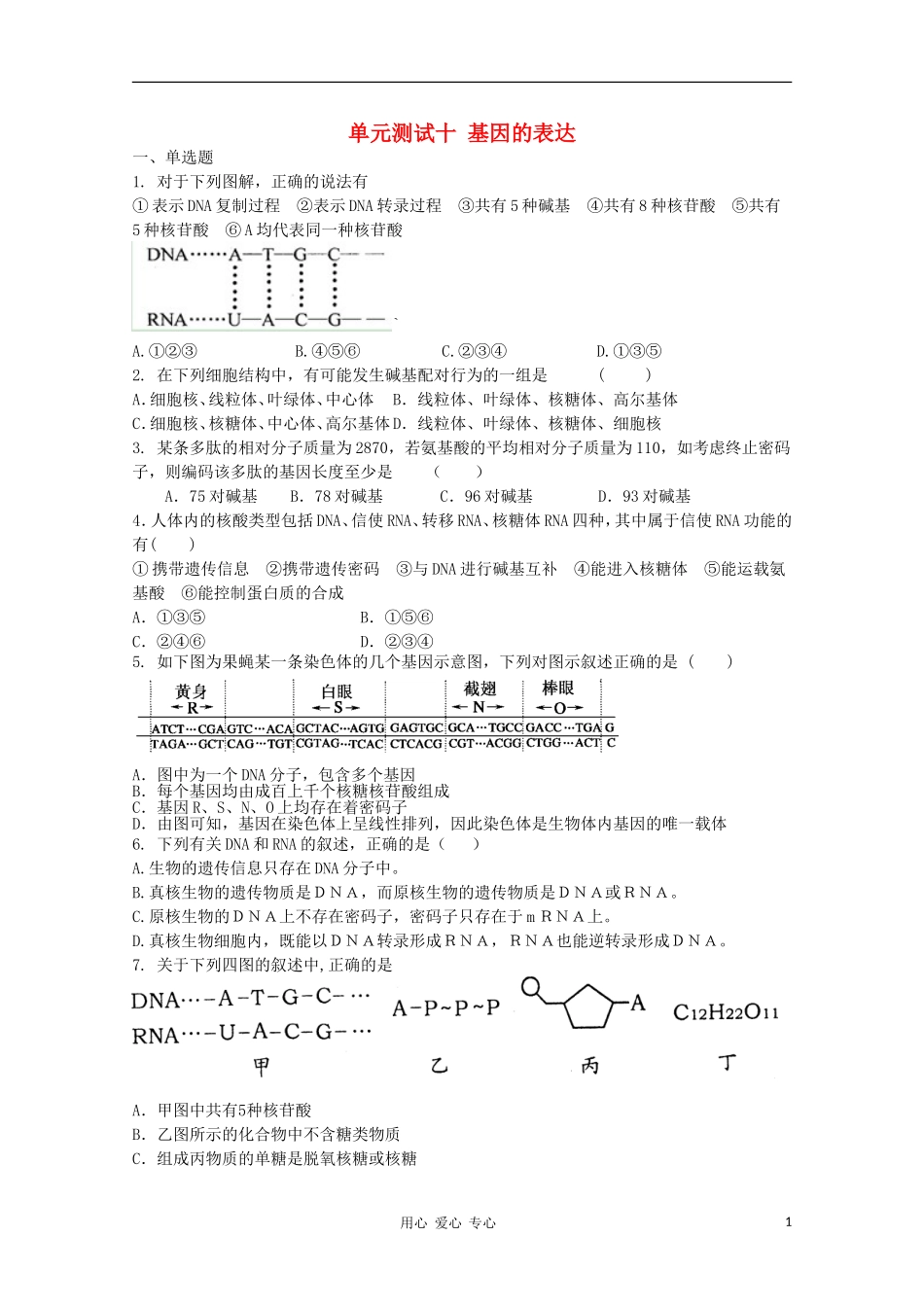天津市2012届高三生物-《基因的表达》单元测试10-新人教版必修2_第1页