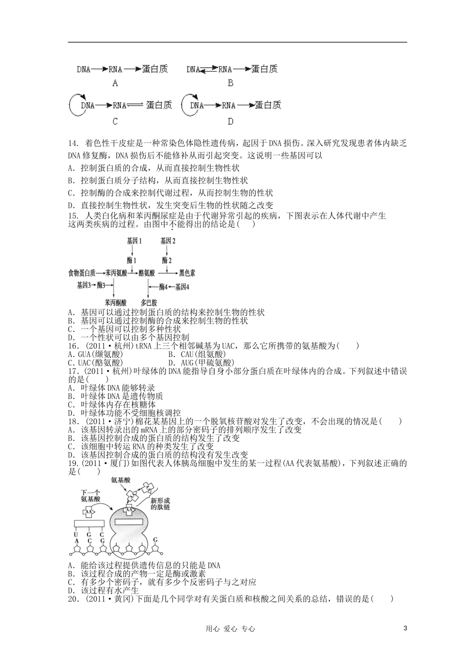 天津市2012届高三生物-《基因的表达》单元测试10-新人教版必修2_第3页