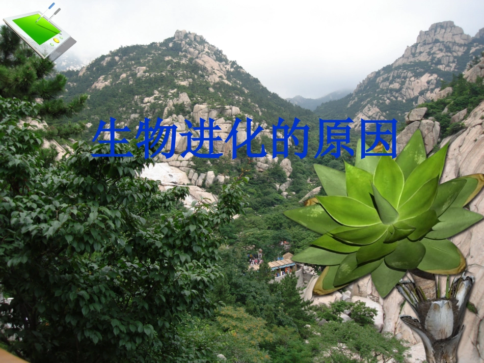 科学家的故事达尔文和他的进化思想_第1页