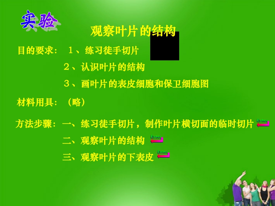 七年级生物上册-绿色植物参与生物圈的水循环1课件-人教新课标版_第3页