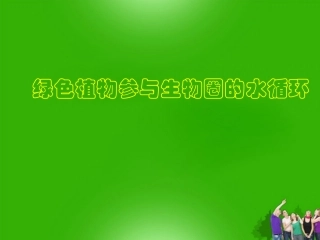 七年级生物上册-绿色植物参与生物圈的水循环1课件-人教新课标版
