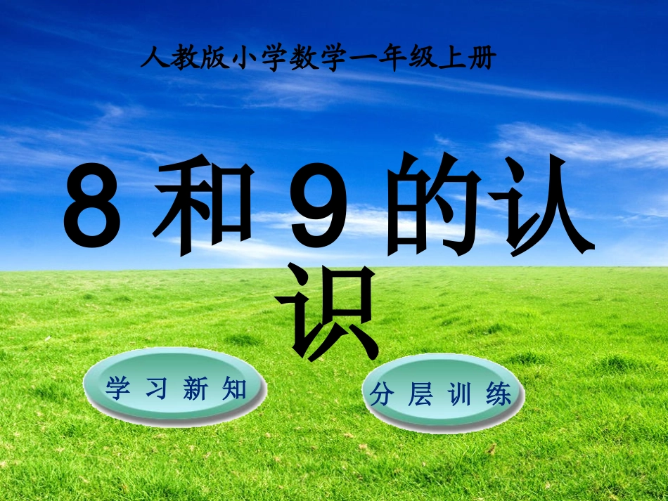 第5单元第2节第1课时--8和9的认识_第1页