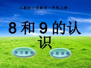 第5单元第2节第1课时--8和9的认识