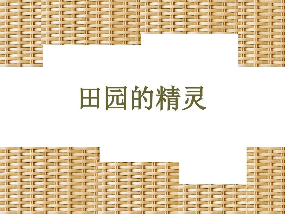 《田园的精灵》课件_第1页