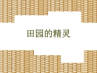 《田园的精灵》课件