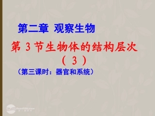 2012年秋七年级科学上册-生物体的结构层次3课件-浙教版