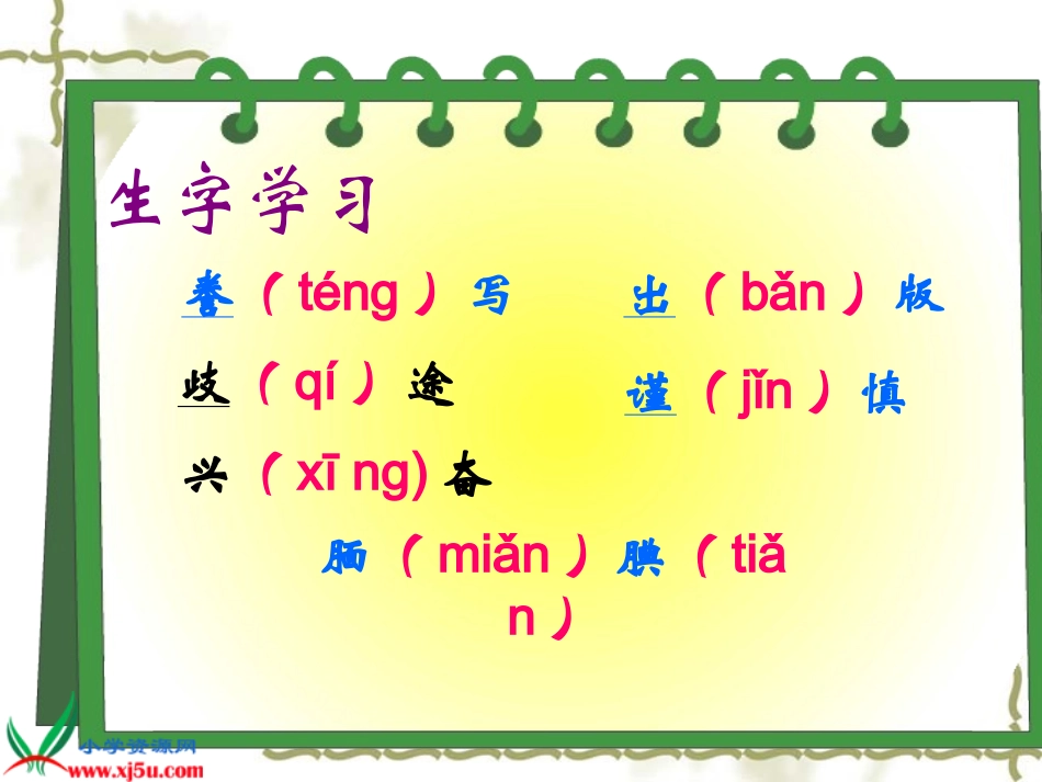 19《精彩极了和糟糕透了》_第1页