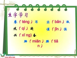 19《精彩极了和糟糕透了》