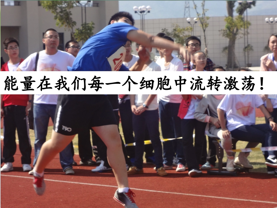 第一节细胞与能量_第2页