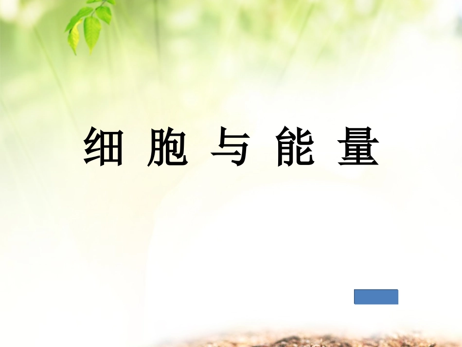 第一节细胞与能量_第3页