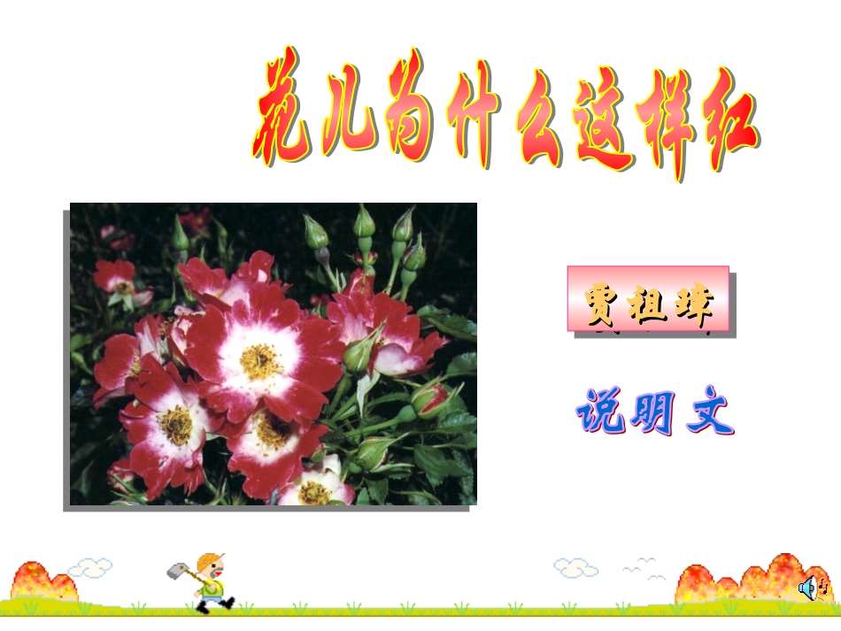 花儿为什么这样红_第1页