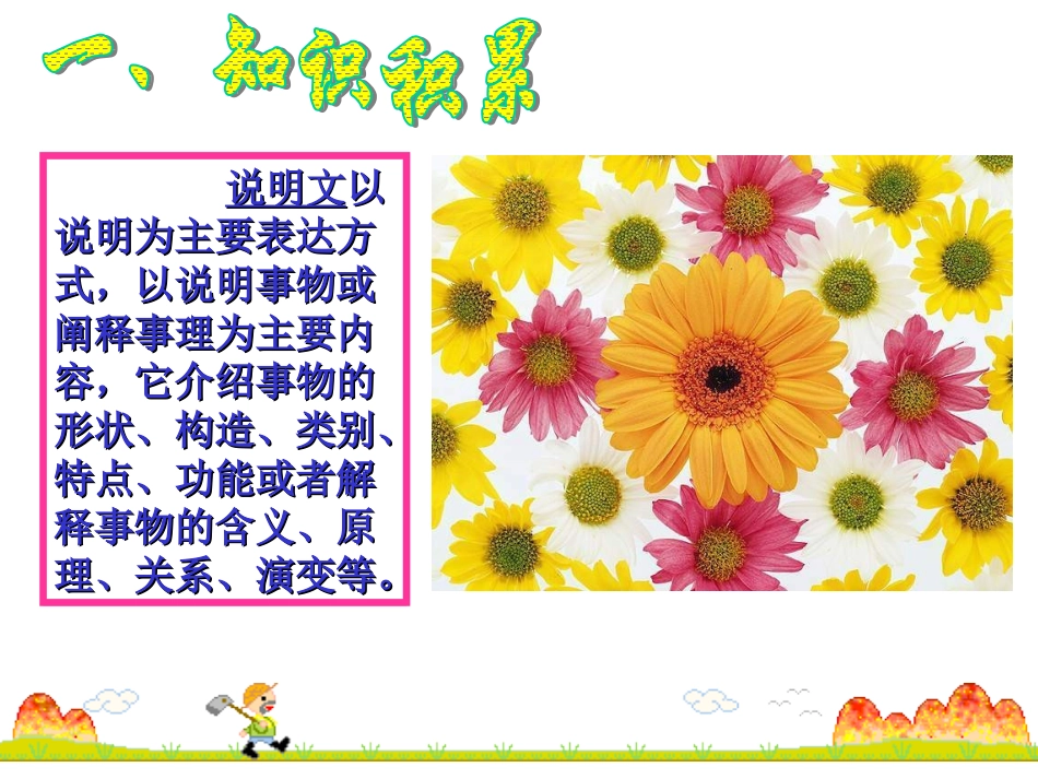 花儿为什么这样红_第2页