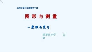 小学数学北师大2011课标版三年级总复习《面积》