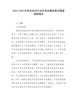 2024-2025年低空经济行业未来发展前景及展望调研报告