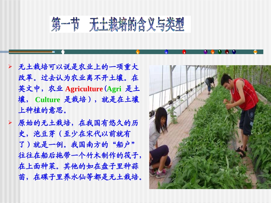 科学·技术·社会-无土栽培_第3页