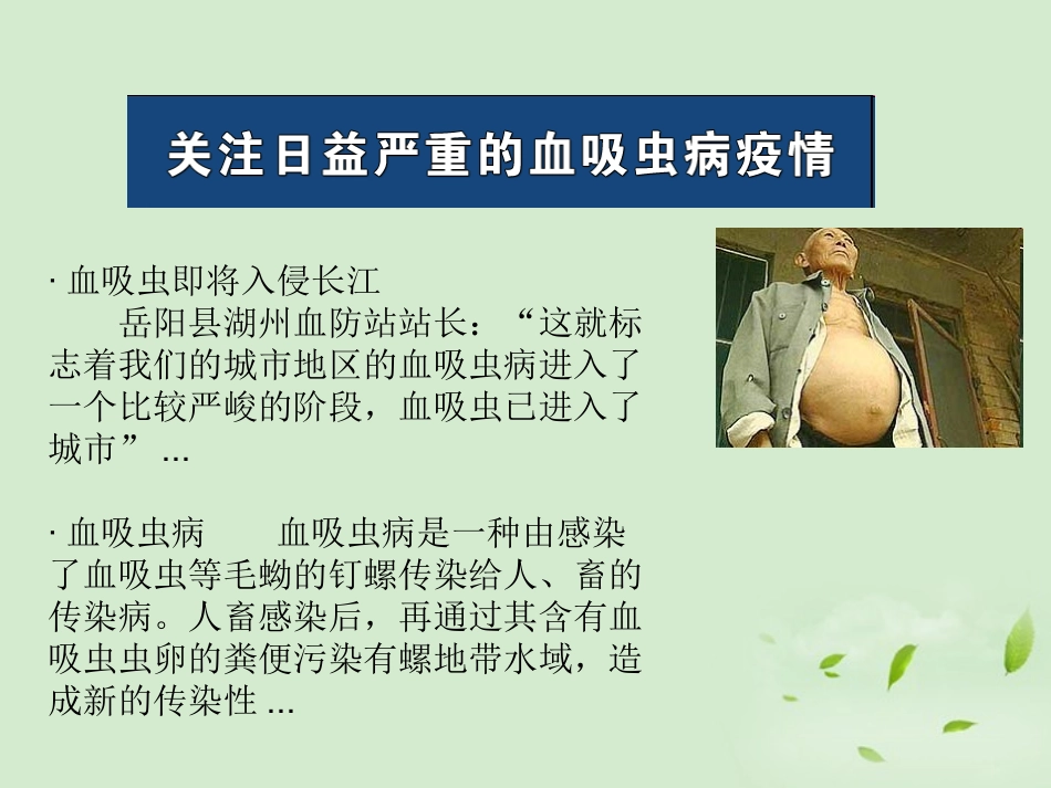 高中生物-2.4《动物疫病的控制》课件-新人教版选修2_第2页