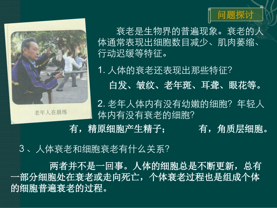 高中生物：-42-细胞的衰老与凋亡(课件)中图版必修1_第3页