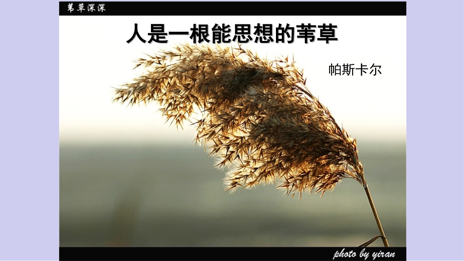 4.人是能思想的苇草_第1页