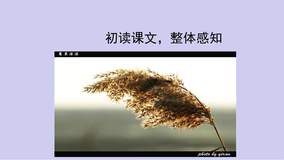 4.人是能思想的苇草_第2页