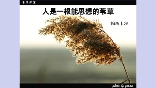 4.人是能思想的苇草
